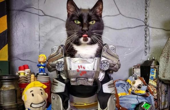 Fallout cica cosplay ee5e080012214dbca308  