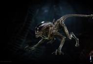 Aliens: Fireteam Xenomorph-ok 3cff2195571697852267  