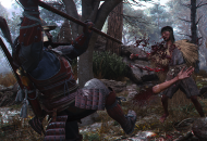Assassin's Creed Shadows Játékképek da440a6765d266b91a5b  