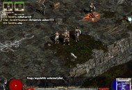 Diablo II Multiplayer képek c0d74710268b87c29fa7  