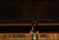Doom 2: Hell on Earth Pirate Doom 0b472b5486b7ee4a716c  