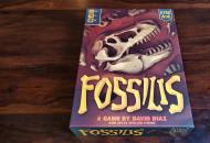 Fossilis 057df92190a245a96139  