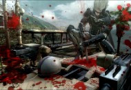 Metal Gear Rising: Revengeance Játékképek 80c775df5630f55072ac  