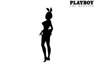 Playboy: The Mansion Háttérképek 6543678a7027b8d37e9f  