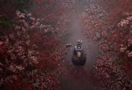 silent-hill-f-4