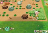 Story of Seasons: Friends of Mineral Town teszt_4