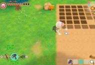 Story of Seasons: Friends of Mineral Town teszt_7