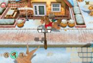 Story of Seasons: Friends of Mineral Town4
