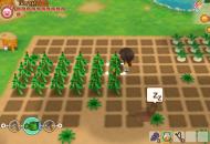 Story of Seasons: Friends of Mineral Town1