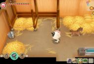 Story of Seasons: Friends of Mineral Town teszt_3