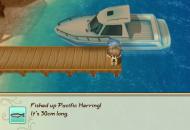 Story of Seasons: Friends of Mineral Town3