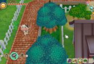 Story of Seasons: Friends of Mineral Town teszt_2