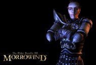 The Elder Scrolls III: Morrowind Háttérképek 90dcfc1be8b678254af0  