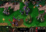 Warcraft III: Reign of Chaos Screenshotok 316de76c85b1c1c2fc38  