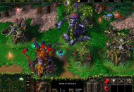 Warcraft III: Reign of Chaos Screenshotok b30aa89d876a9c40cec2  