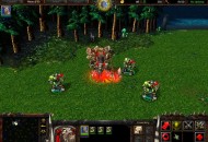 Warcraft III: Reign of Chaos Screenshotok c1c5a9d1ed9a42c2864e  