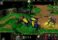 Warcraft III: Reign of Chaos Screenshotok e78a6487147eae23e8b1  