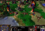 Warcraft III: The Frozen Throne Screenshotok 56b7fcbec2d5d36b8428  