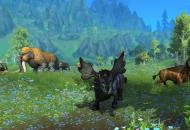 World of Warcraft: Dragonflight Játékképek bed31678ad0c1f055c50  