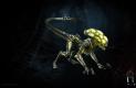 Aliens: Fireteam Xenomorph-ok 901ccd271874fb6417e6  