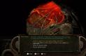 Baldur’s Gate 1 & 2 Enhanced Edition és Icewind Dale & Planescape: Torment Enhanced Edition Switch a1ea0bc837103125960c  