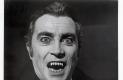 Böjti Horrorkamrája: Count Yorga, Vampire 0430960c26c8d2b69642  