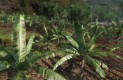 Crysis Cryengine 2 Best of 500f40200330a615fd25  