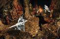 Dark Souls 2 Crown of the Sunken King DLC a847d8fe873195b08be4  