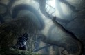 Dark Souls Játékképek a111f48b97e41ab12a45  