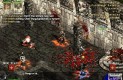 Diablo II Multiplayer képek 101d7411274a83083811  