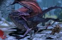 Dragon Age: Origins Játékképek 13fc7c293efd544f3596  