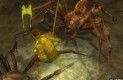 Dungeons & Dragons Online: Stormreach Játékképek 6c9e88582e6a232f02d7  