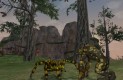 EverQuest II: Echoes of Faydwer Screenshots eea90618c9f81df725f5  