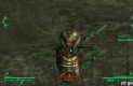 Fallout 3 Játékképek 7f992f18f08f997461b7  