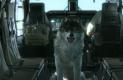 Metal Gear Solid 5: The Phantom Pain Játékképek c2d364af175a3a724b69  
