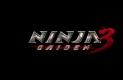 Ninja Gaiden 3 Koncepciórajzok, művészi munkák 66a51c77710d0d7ebdcd  