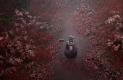 silent-hill-f-4