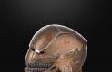 star-wars-the-acolyte-5