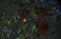 StarCraft II: Heart of the Swarm Játékképek 10dd0afcc629d036be8d  