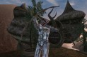 The Elder Scrolls III: Morrowind Játékképek 0fcfeb53a35a868b4cfc  