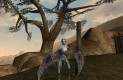 The Elder Scrolls III: Morrowind Játékképek 1432e6cf5f9ec9ec9b2c  