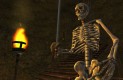 The Elder Scrolls III: Morrowind Játékképek 41182c192ecd9f842333  