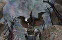 The Elder Scrolls III: Morrowind Játékképek 9c1a80c822f7df8bdc68  