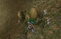 The Elder Scrolls III: Morrowind Játékképek dc1631c95e8f2ed30e49  