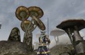 The Elder Scrolls III: Morrowind Játékképek de7ea80fa81cb2363eba  