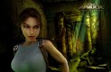 Tomb Raider: Anniversary Háttérképek 3529083d1fa8842f7e82  
