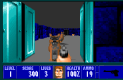 Wolfenstein 3D Játékképek d48cdf48dd3724ec6a3e  