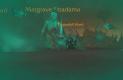 World of Warcraft: Shadowlands bétateszt_3