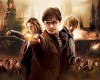 Harry Potter és a Halál ereklyéi: 2. rész teszt tn