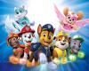 Paw Patrol: On a Roll! teszt tn